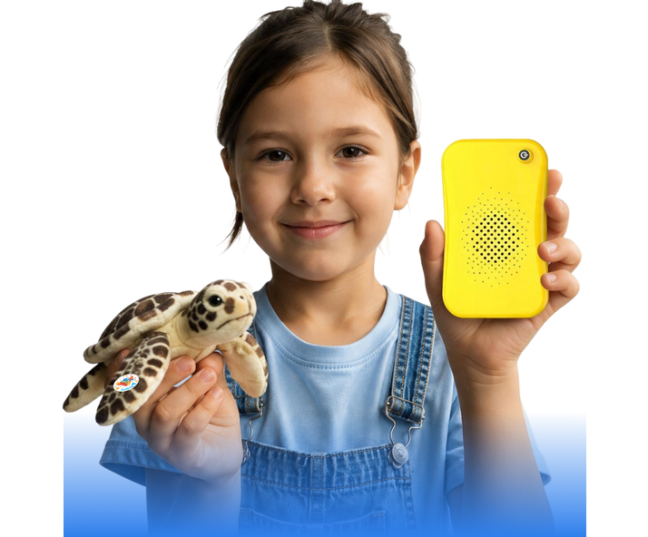 Portable